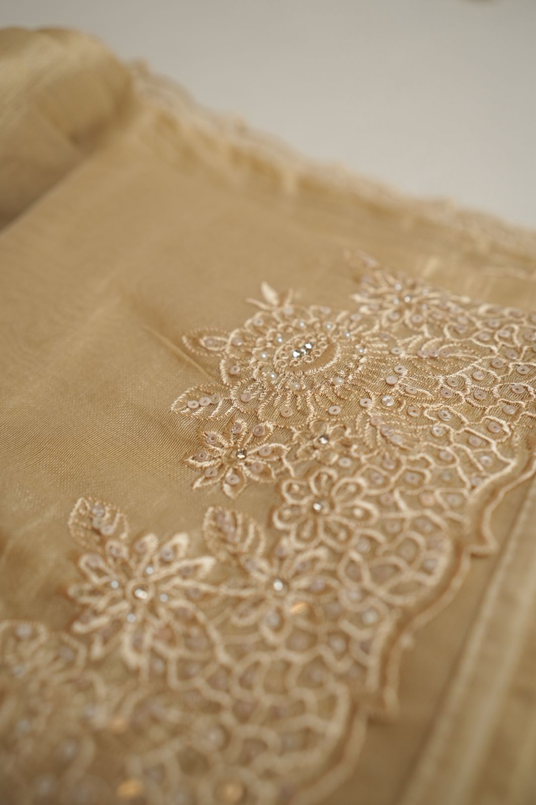 Tissue Organza Saree TSA4334