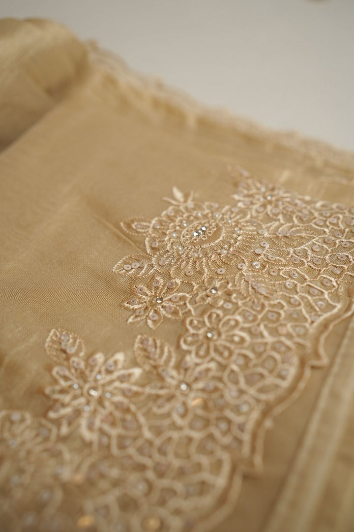 Tissue Organza Saree TSA4334