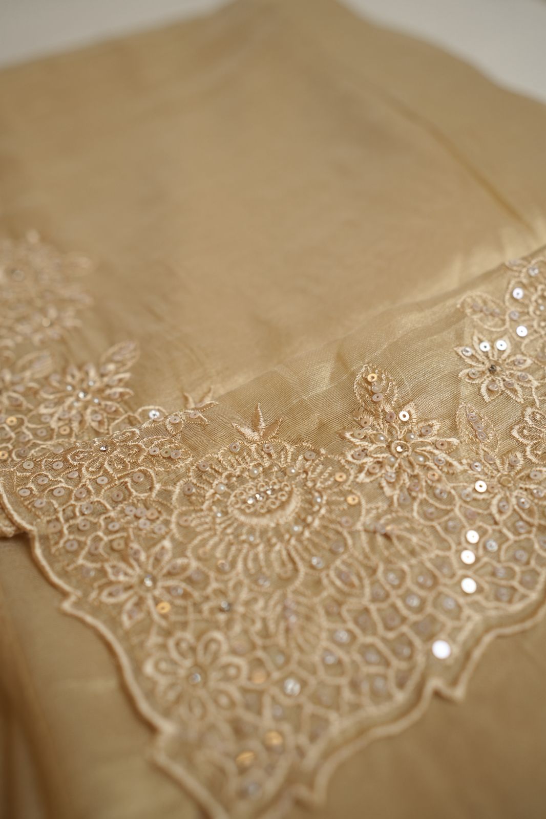 Tissue Organza Saree TSA4334