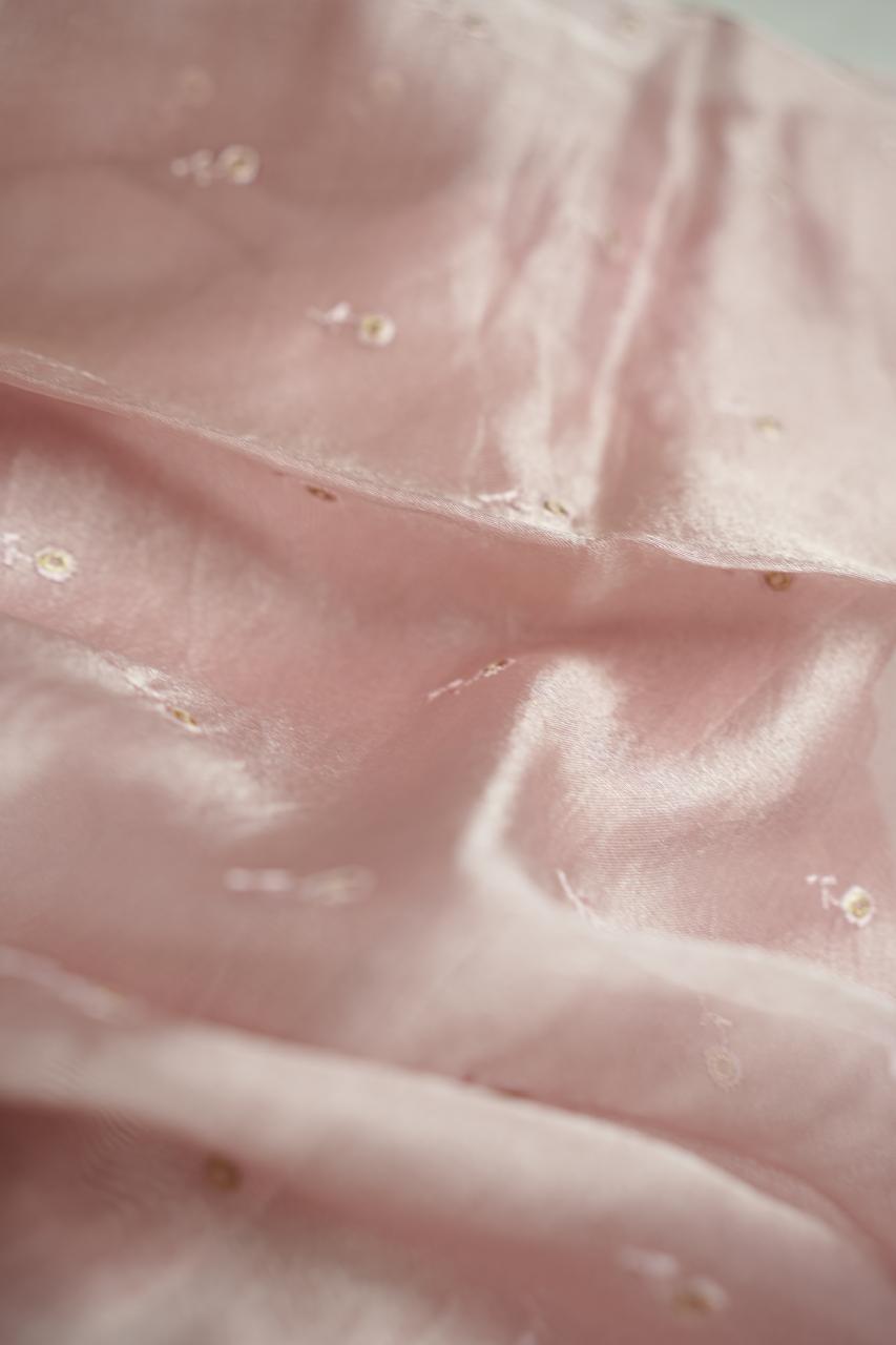 Organza Saree TSA4356