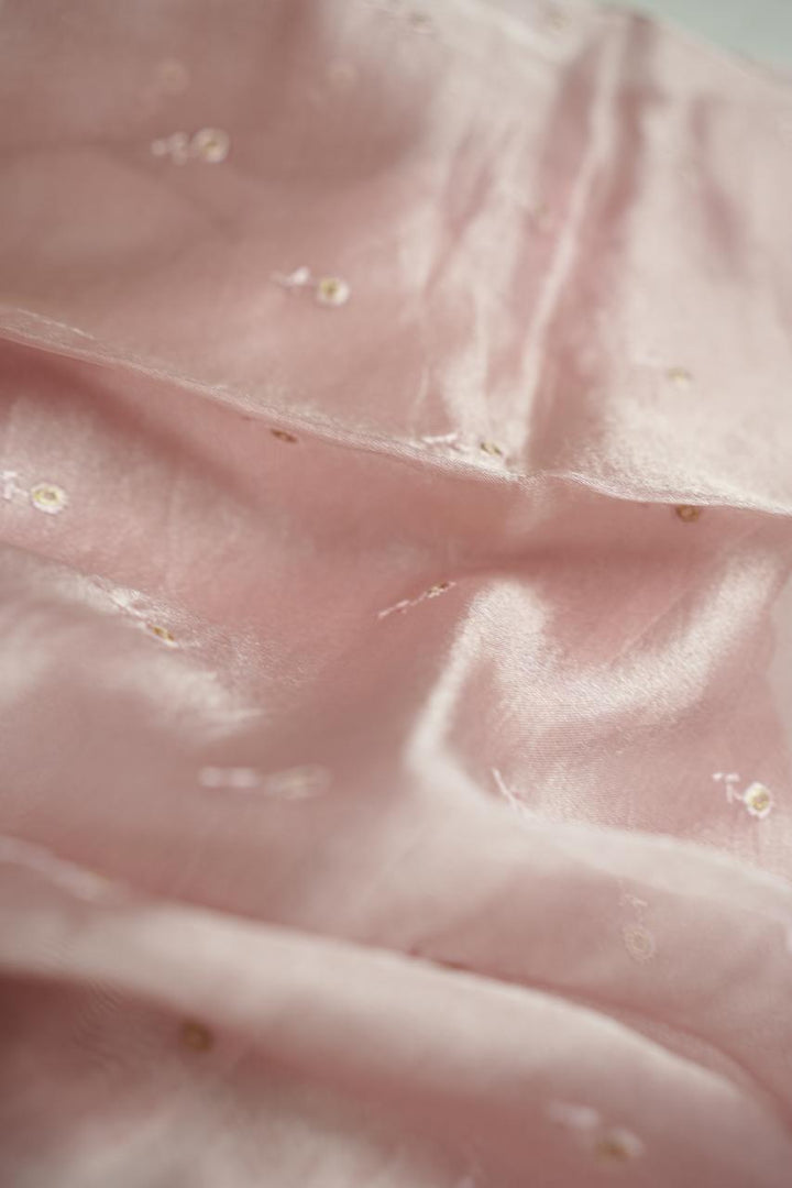 Organza Saree TSA4356