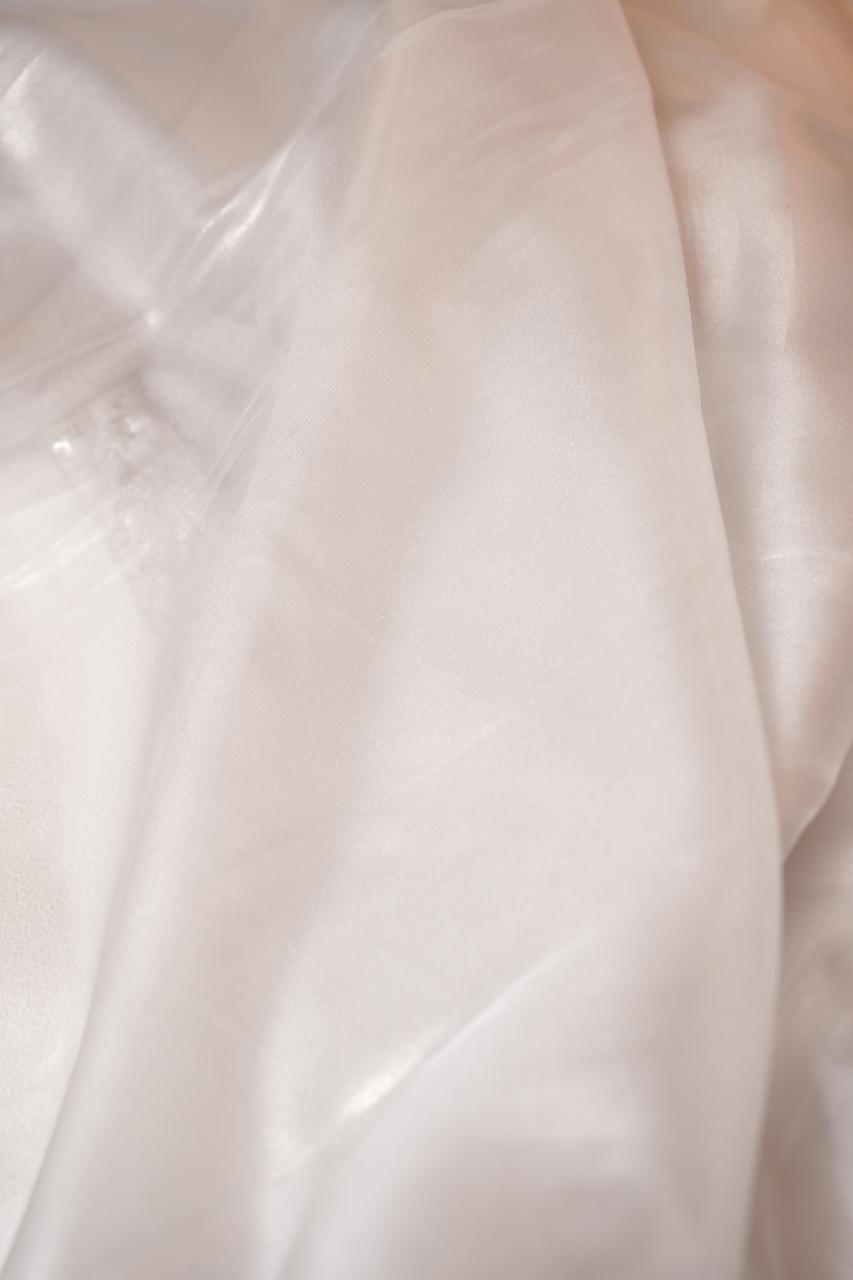 Tissue Net Saree TSA4391