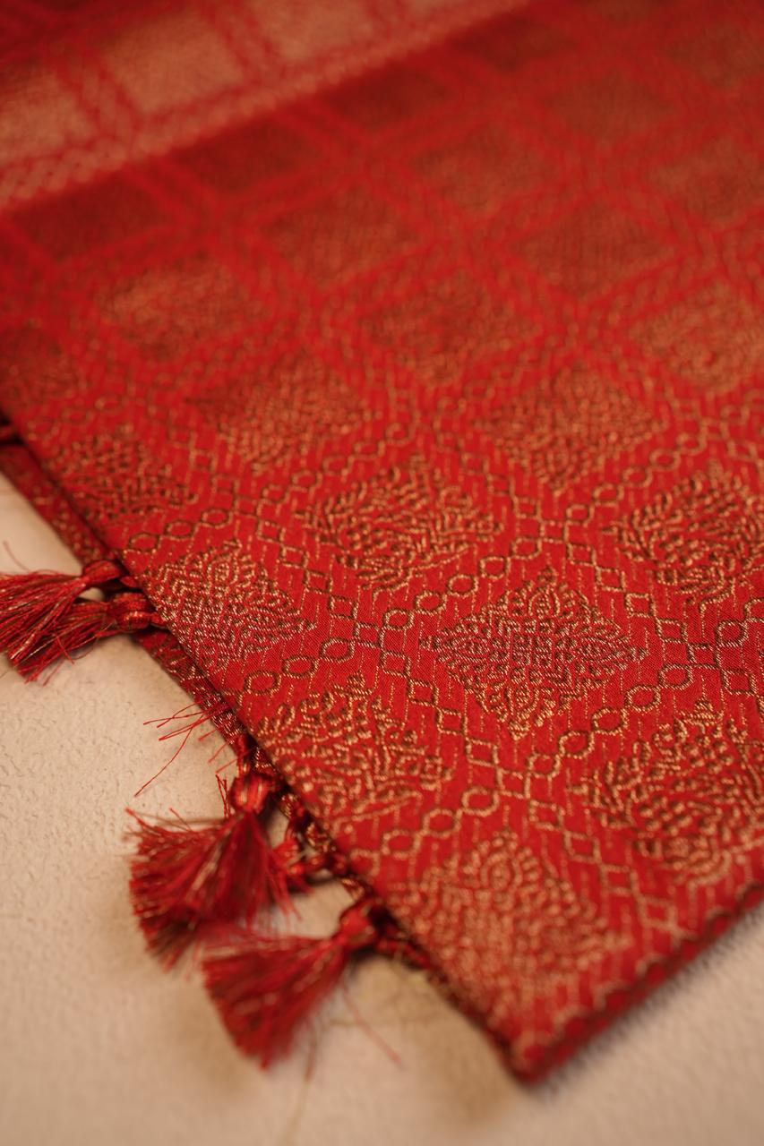 Kathan Weave Saree TSA4411