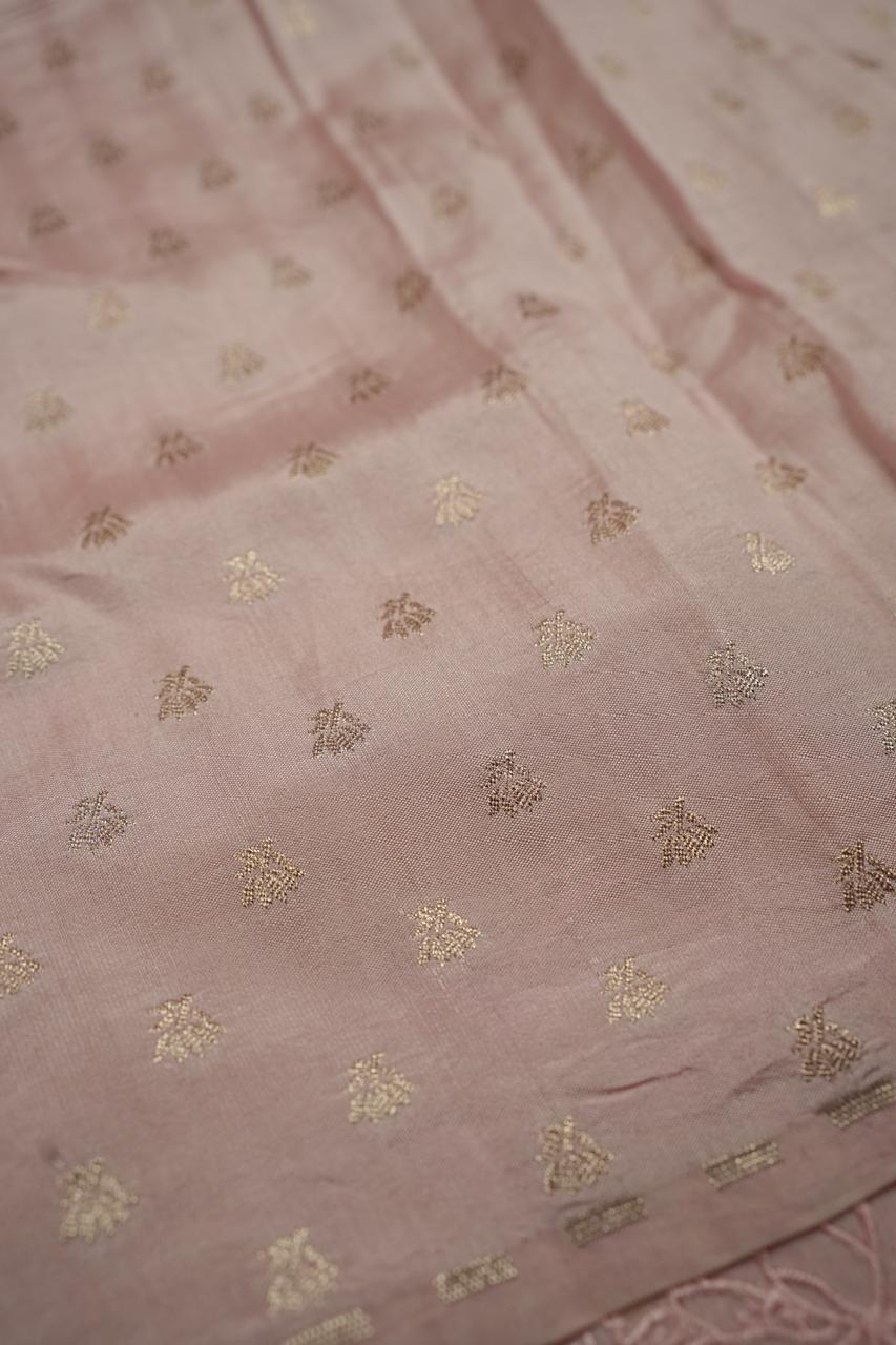 Organza Saree TSA4407