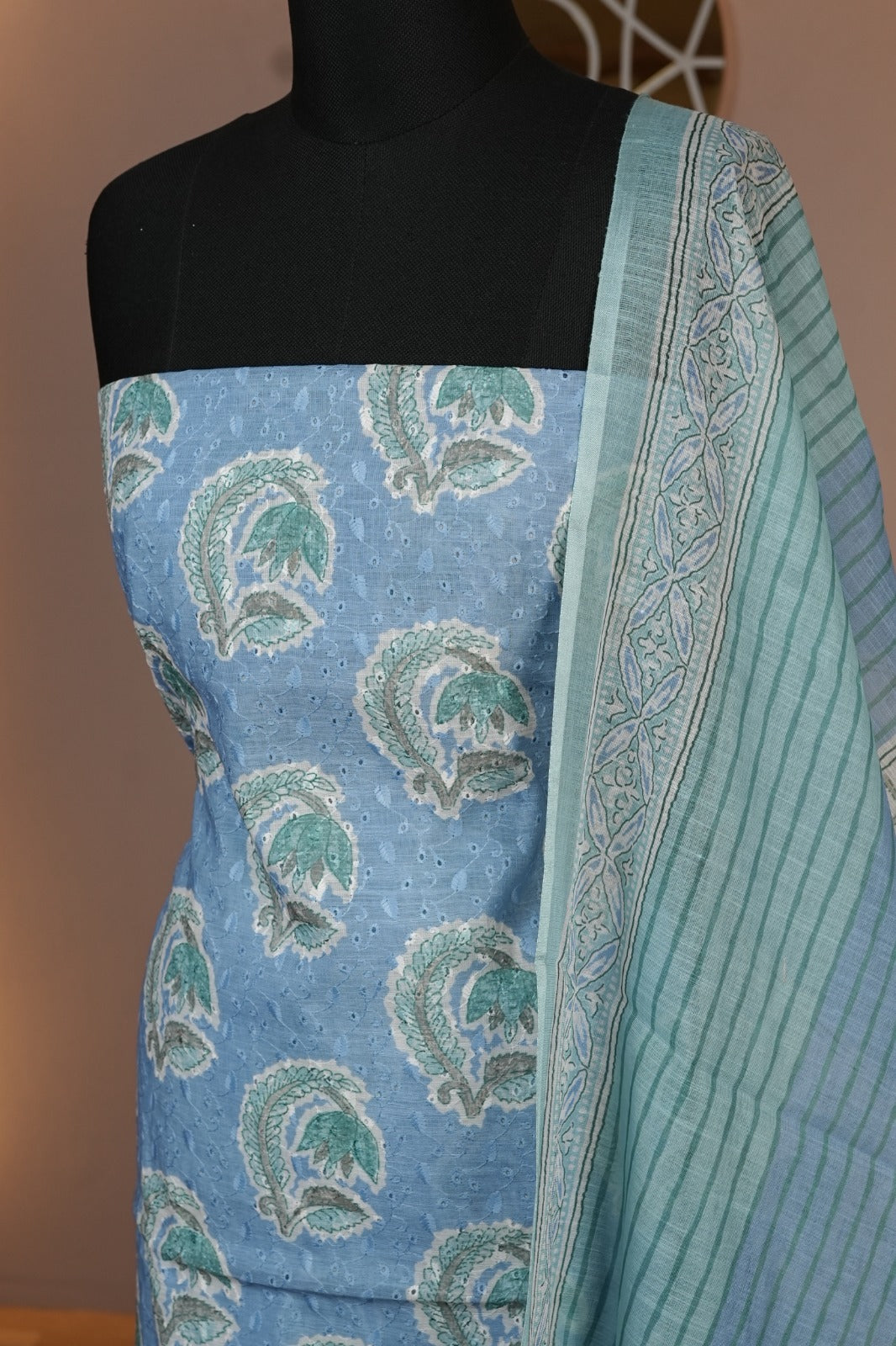 Hakoba Cotton Salwar TSS4484