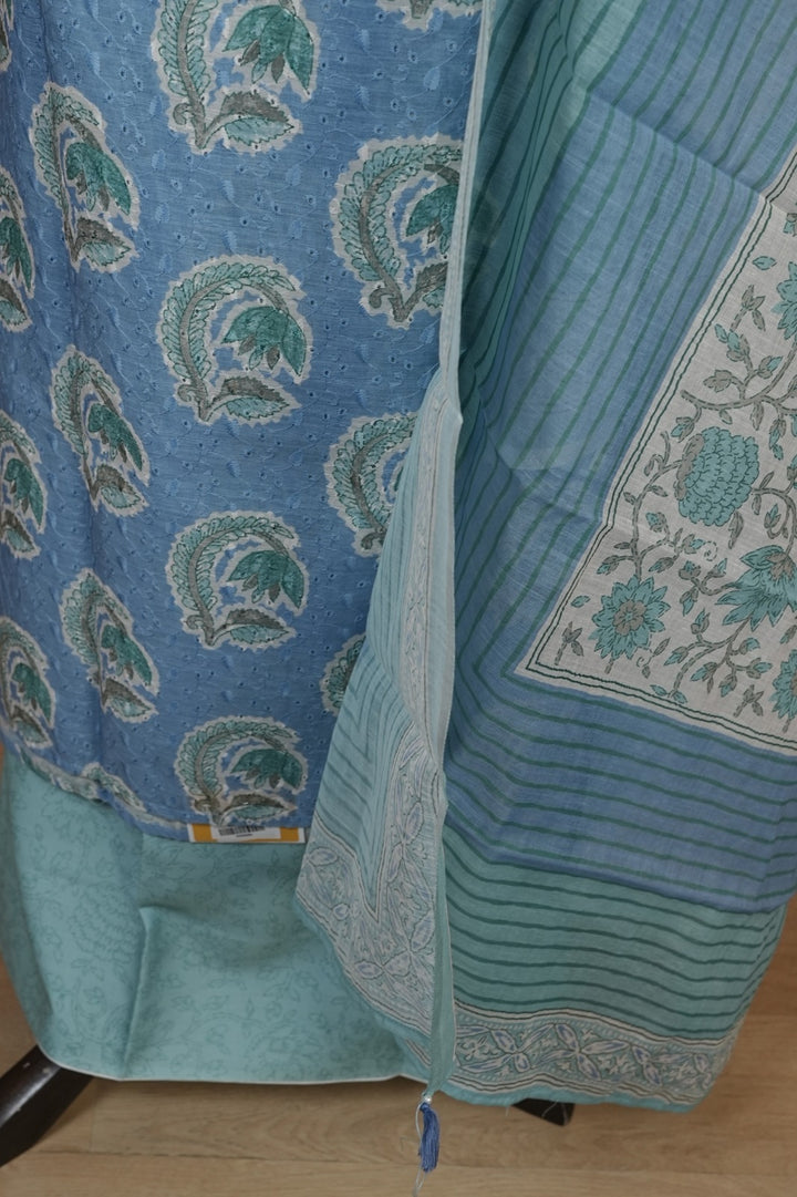 Hakoba Cotton Salwar TSS4484