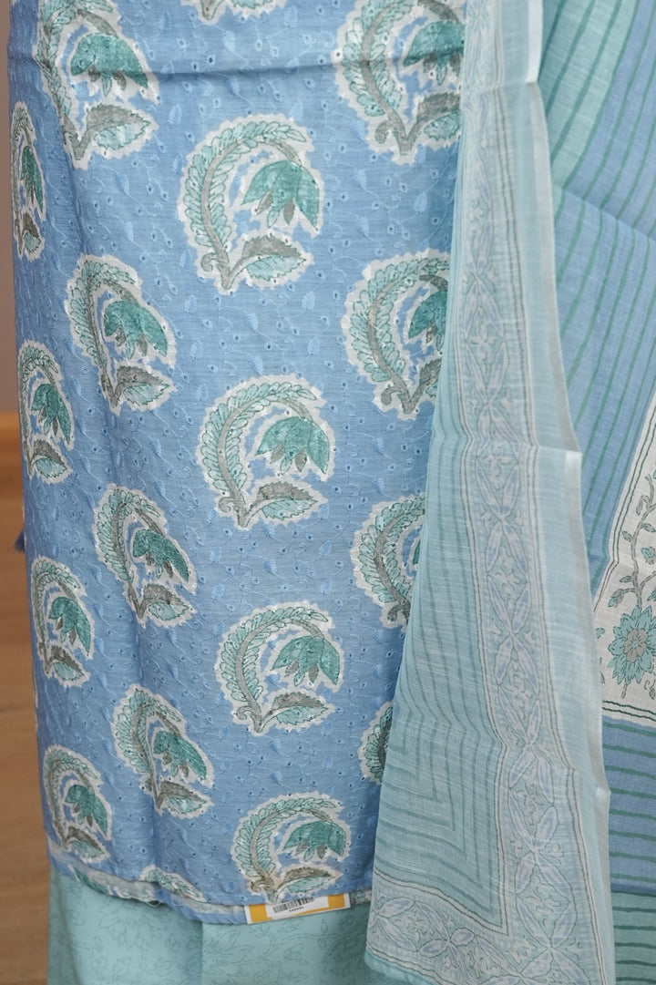 Hakoba Cotton Salwar TSS4484