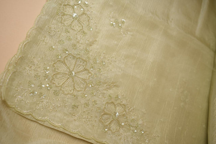 Crushed Organza Saree TSA4462