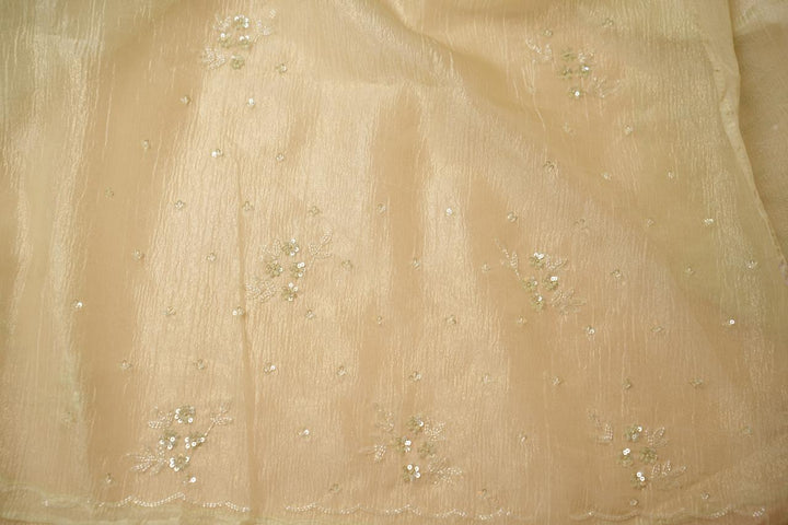 Crushed Organza Saree TSA4462