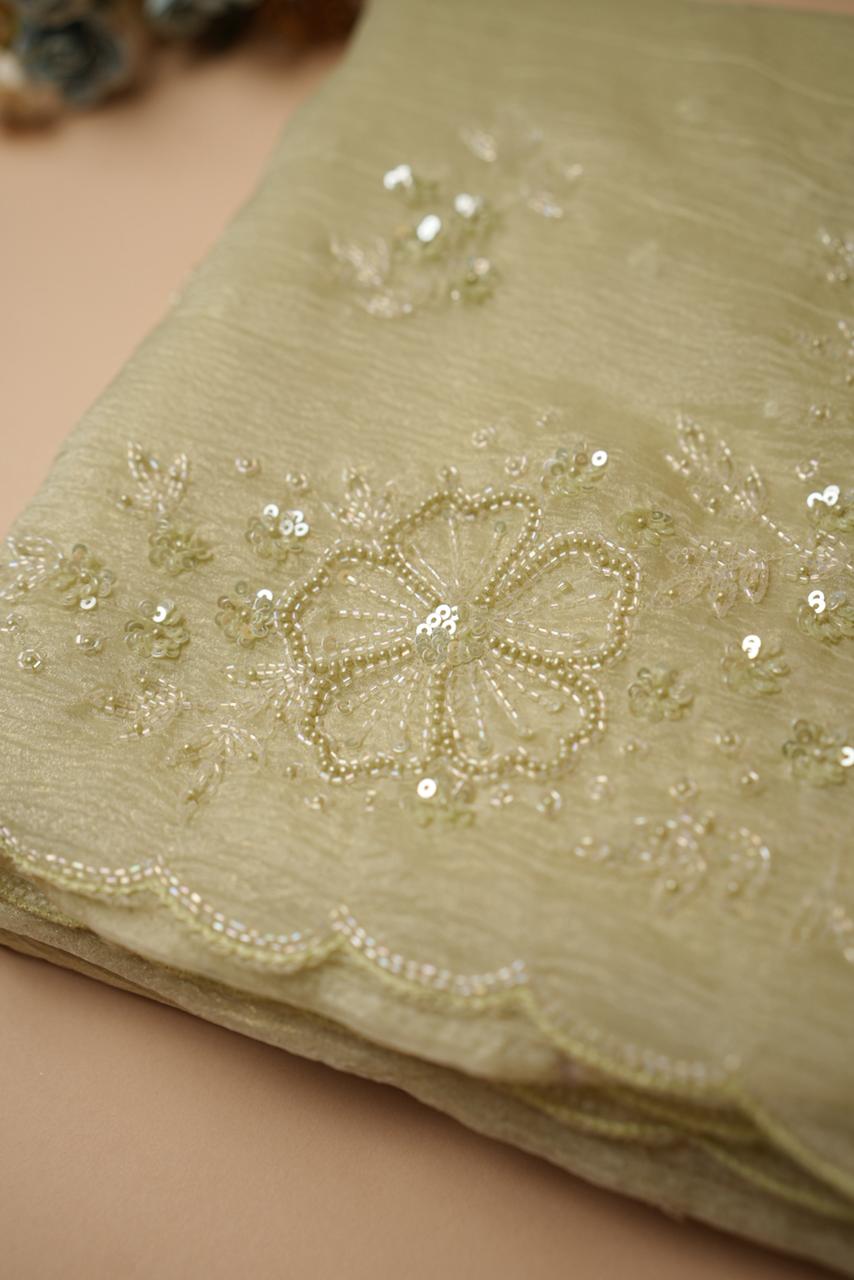 Crushed Organza Saree TSA4462