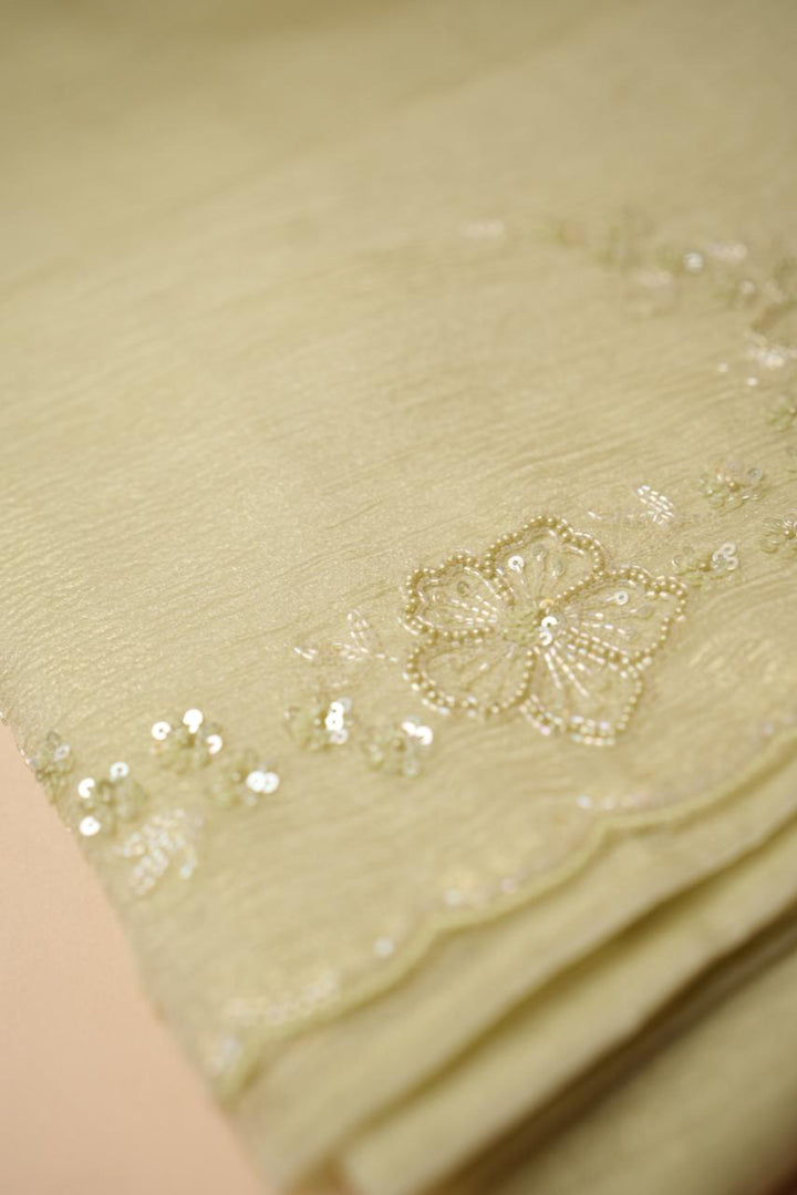 Crushed Organza Saree TSA4462