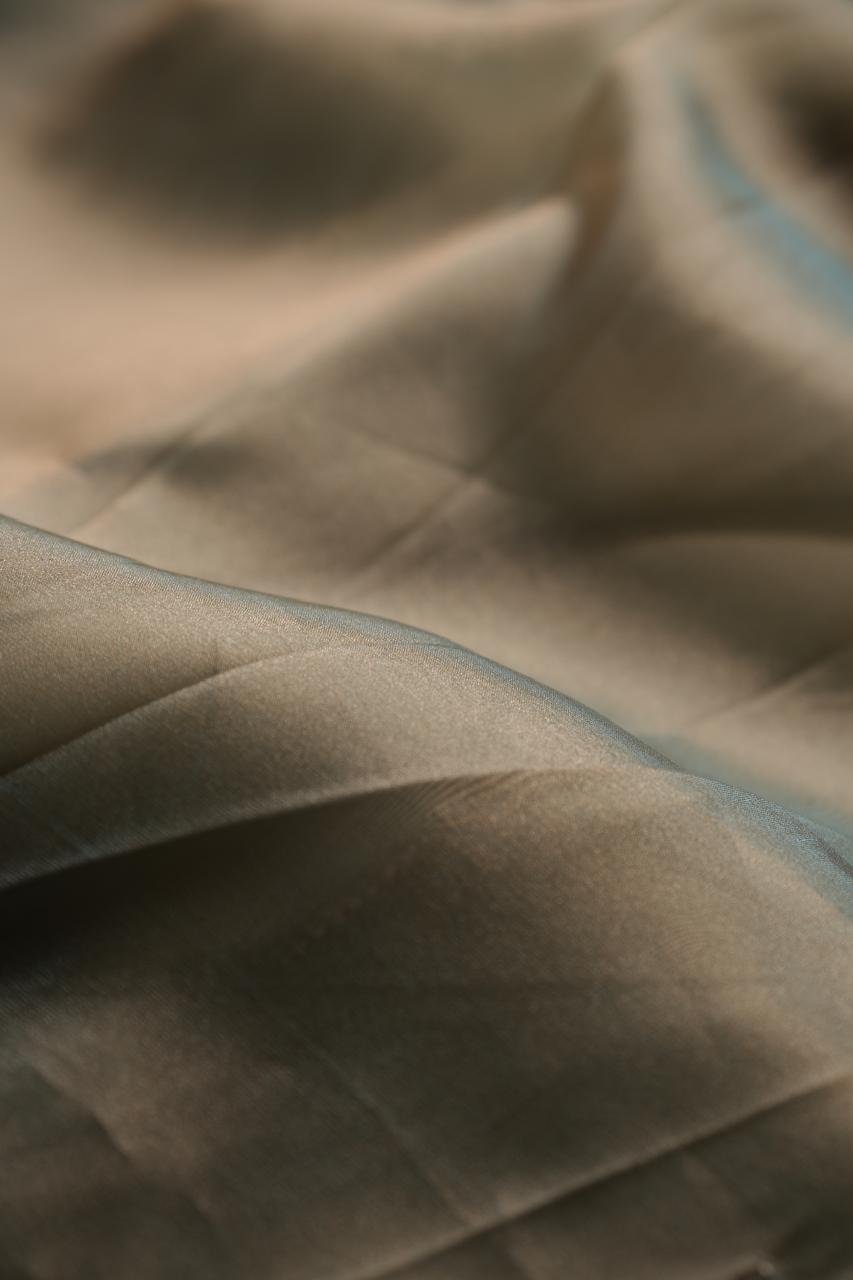 Tissue Saree TSA4477