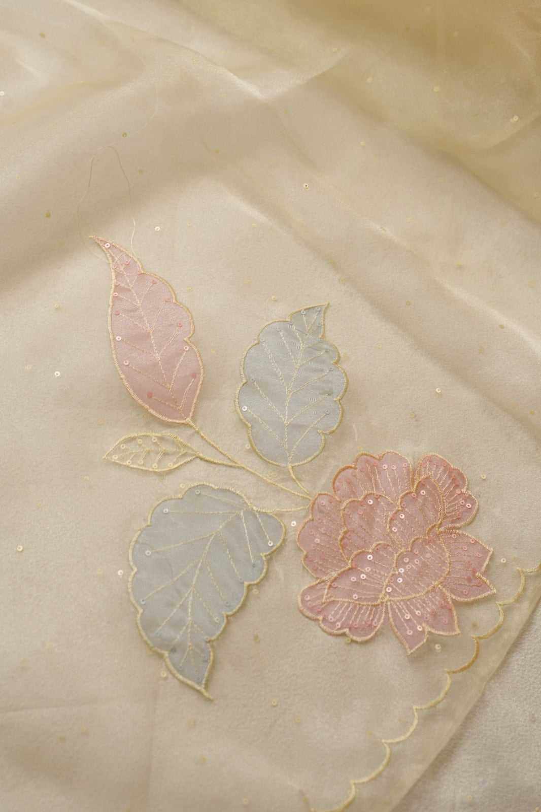 Organza Saree TSA4523