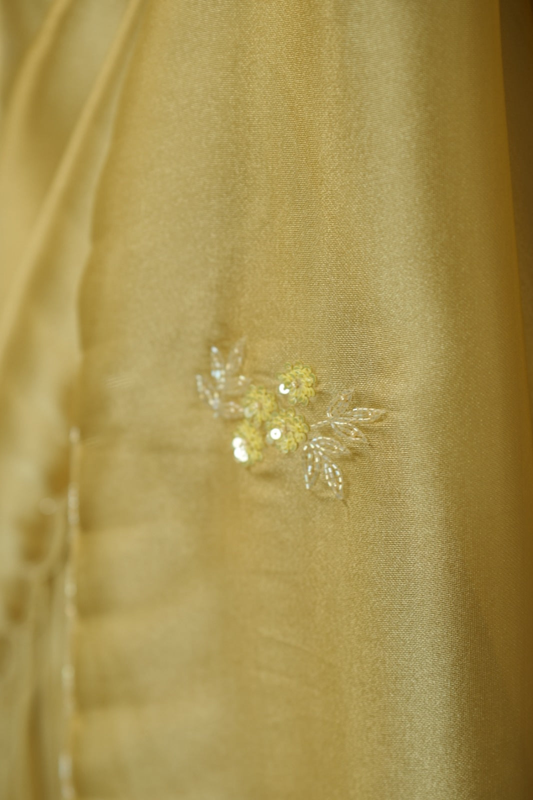 Tissue Saree TSA4546