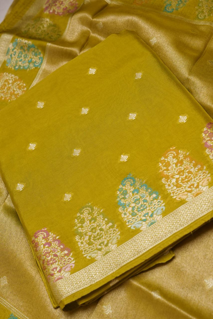 Banarasi Salwar TSS4548