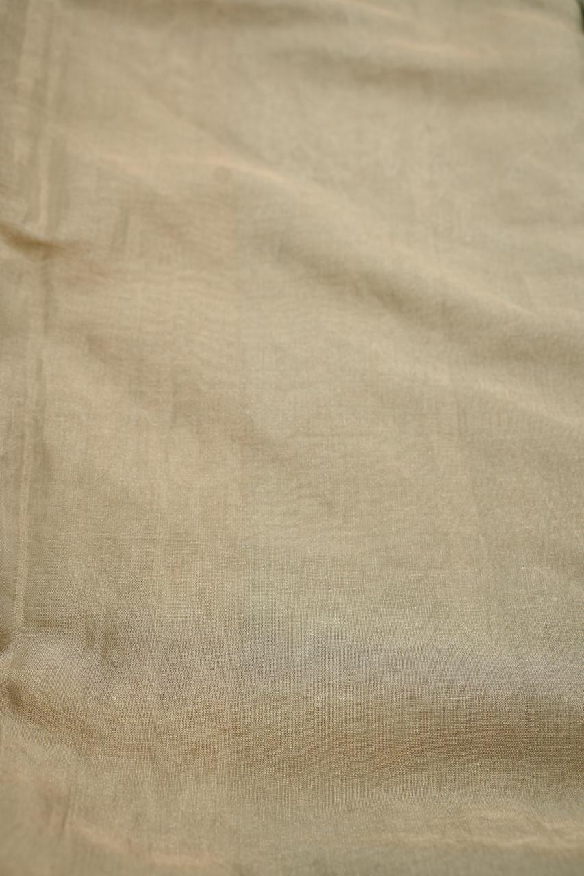 Tissue Silk Saree TSA4556