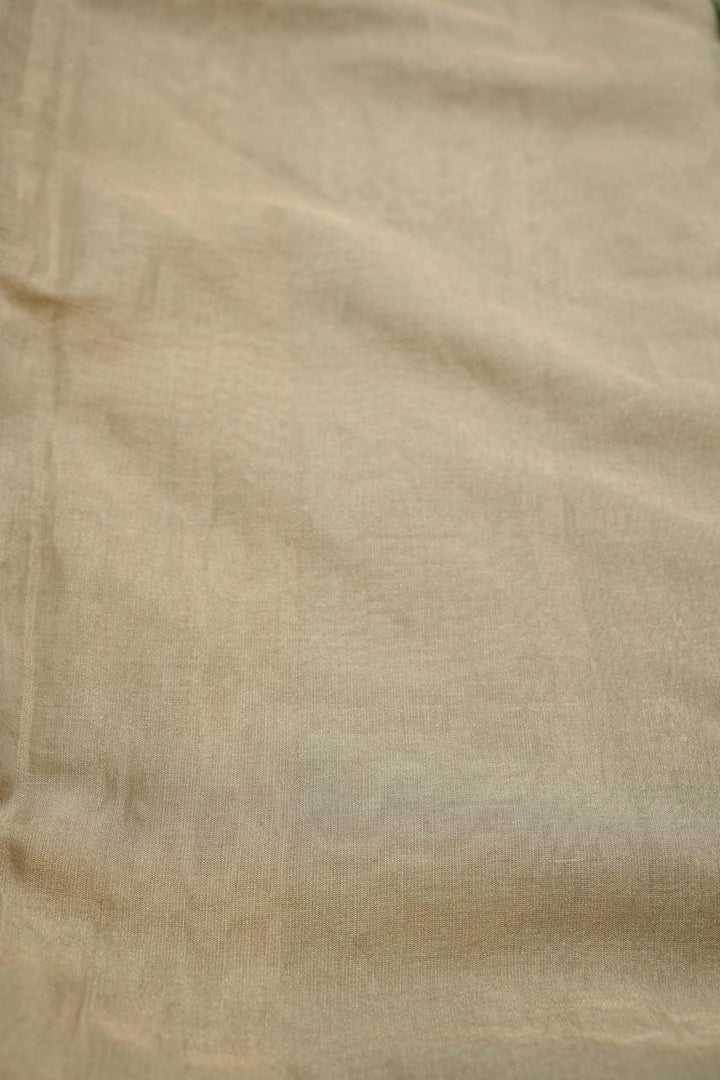 Tissue Silk Saree TSA4556