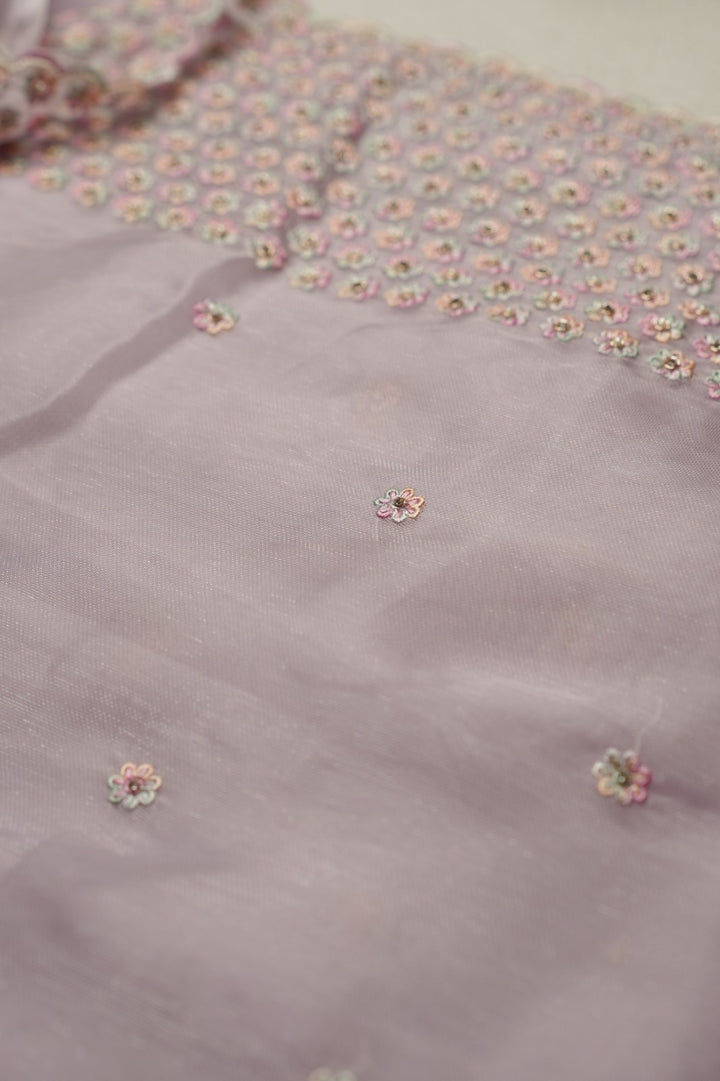 Tissue Organza Saree TSA835