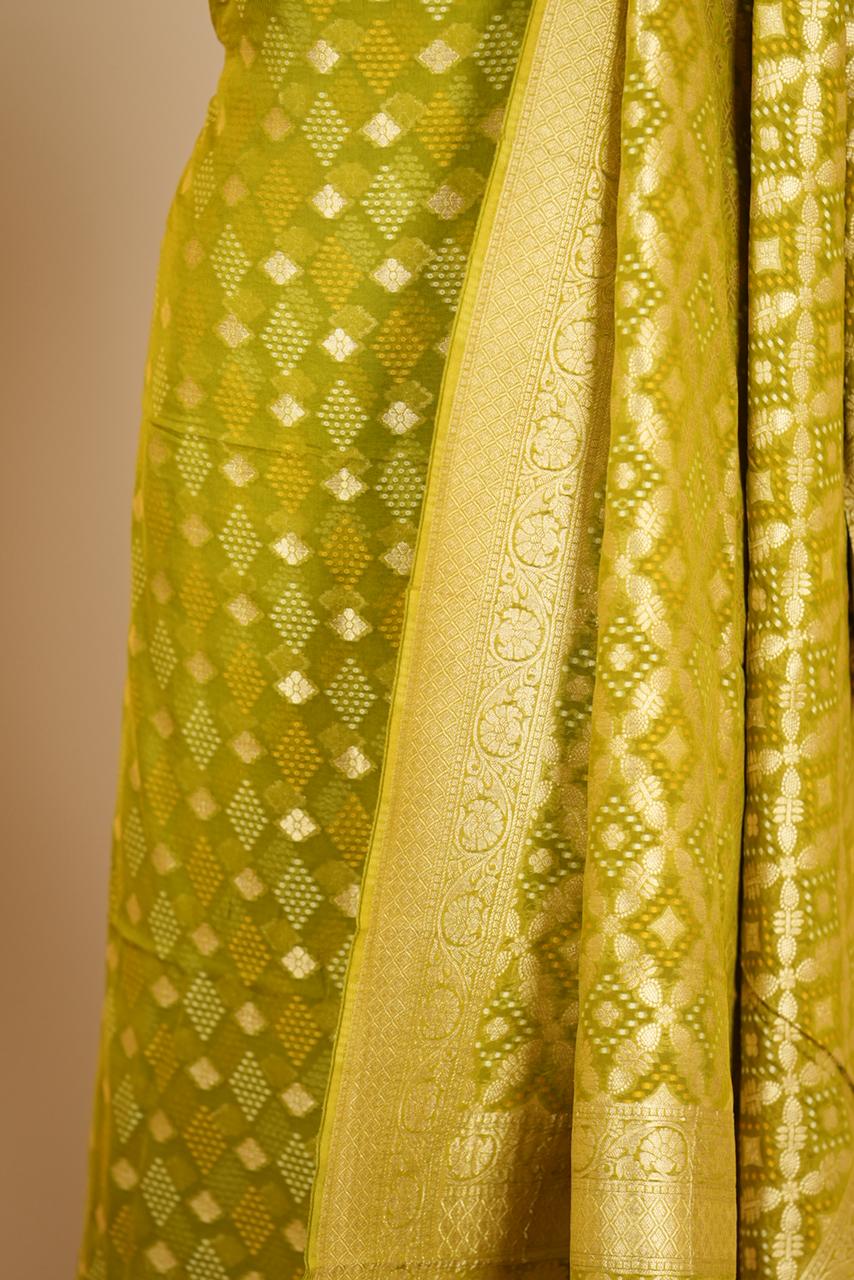 Georgette Banarasi Salwar TSS4658