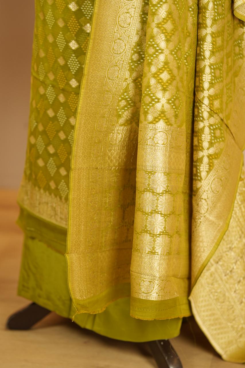 Georgette Banarasi Salwar TSS4658