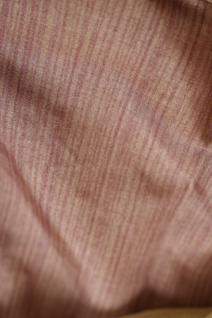 Linen Tissue Saree TSA059