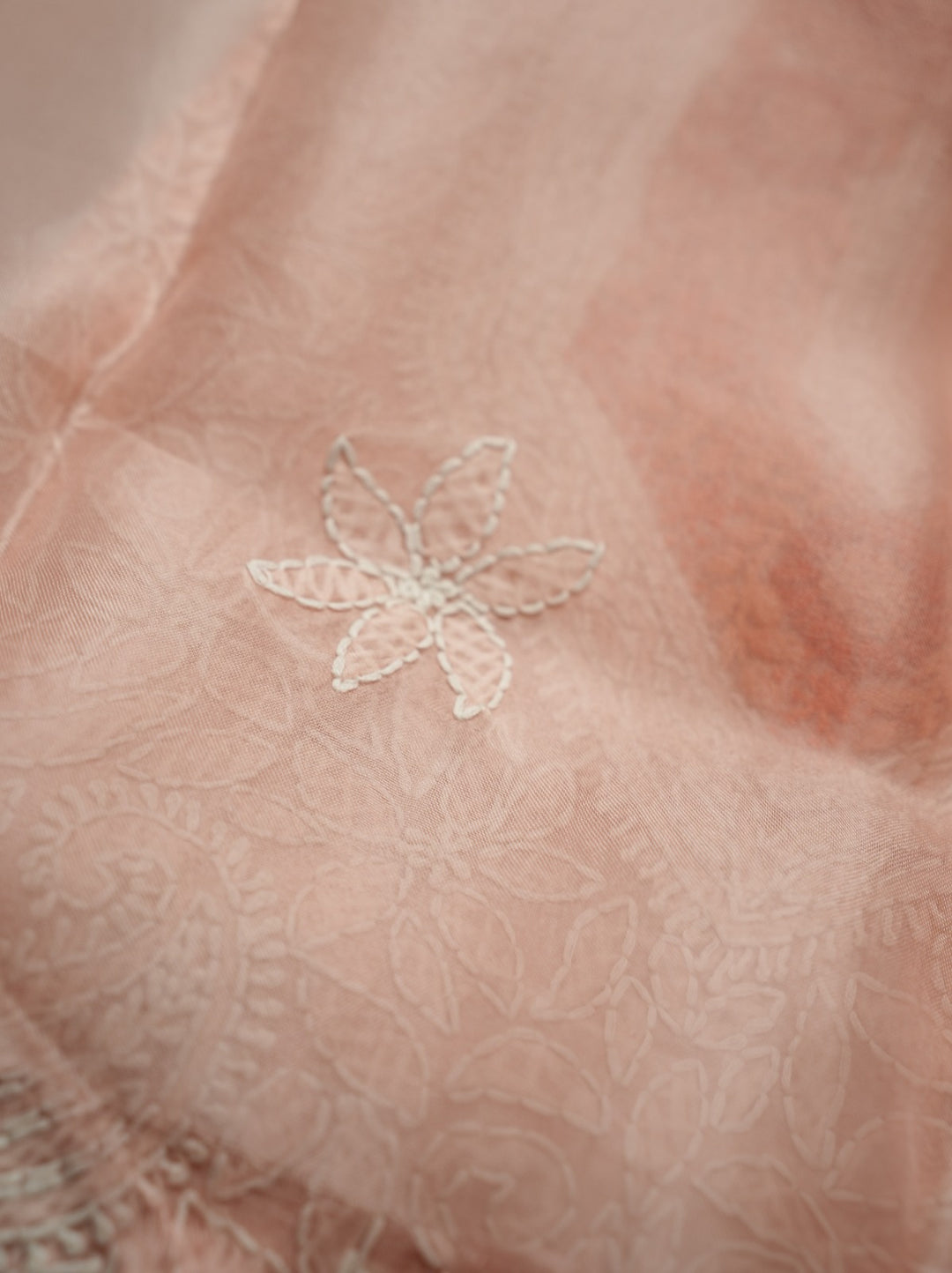 Organza Salwar TSS4760