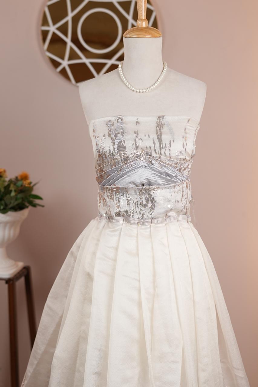 Turkish Organza Material TRF4791