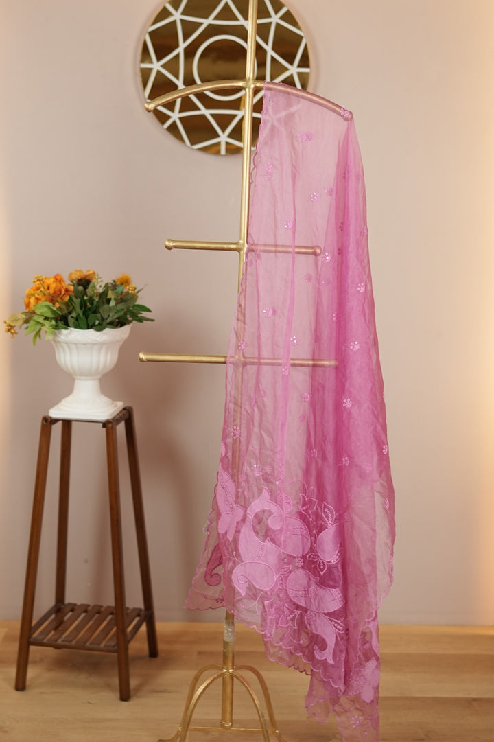 Organza Dupatta TDA4775