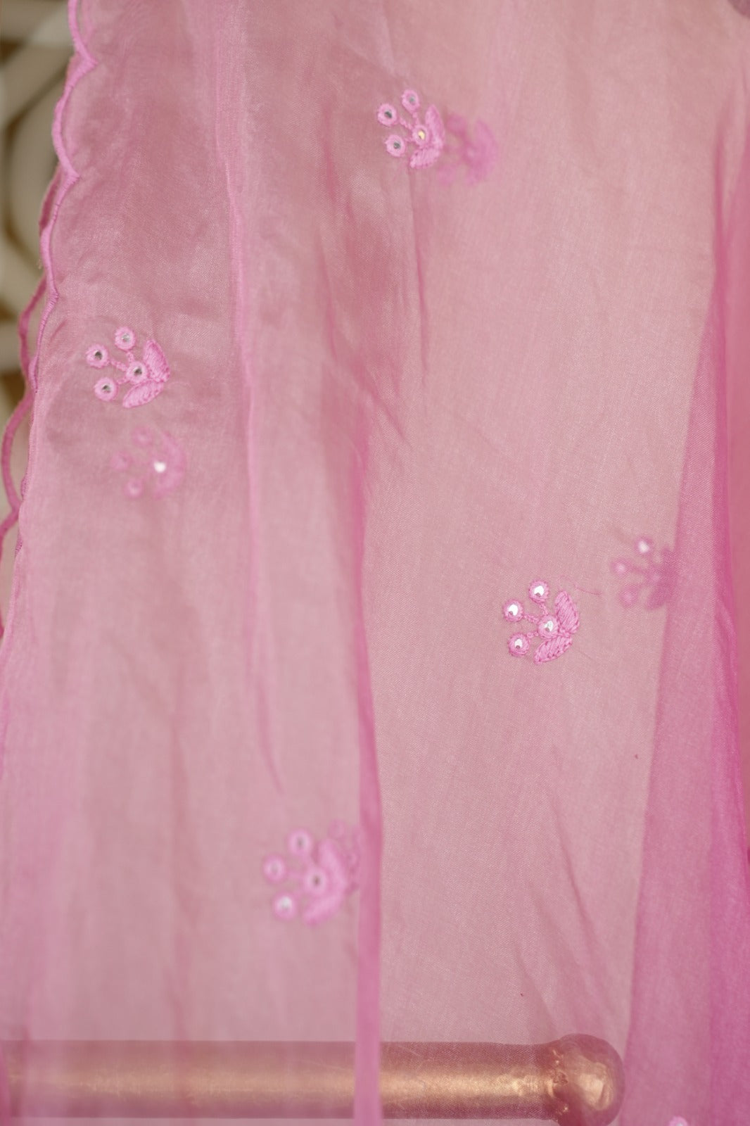 Organza Dupatta TDA4775