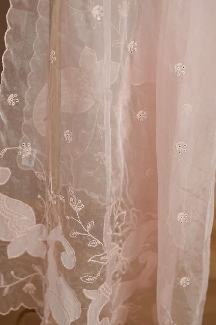Organza Dupatta TDA4775