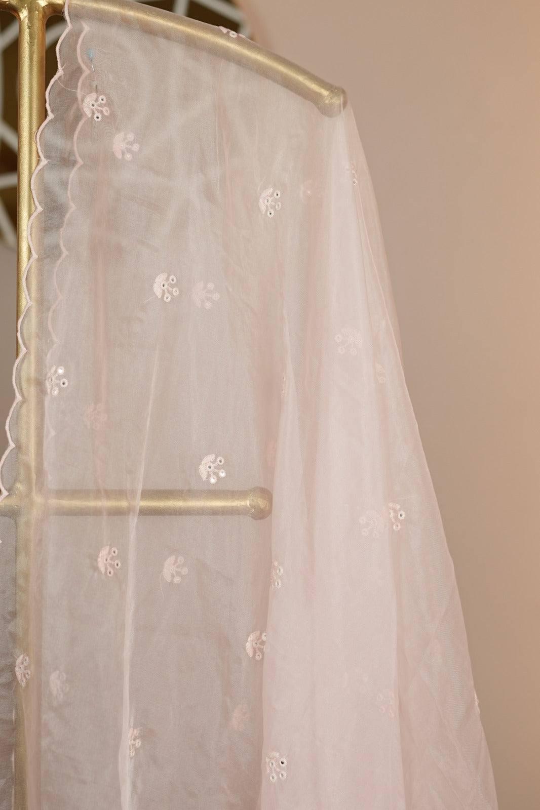 Organza Dupatta TDA4775