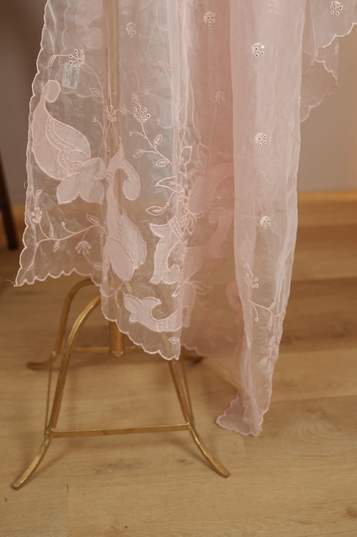 Organza Dupatta TDA4775