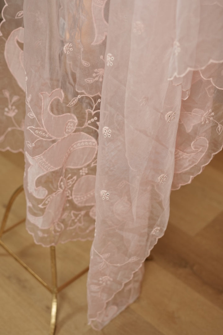 Organza Dupatta TDA4775