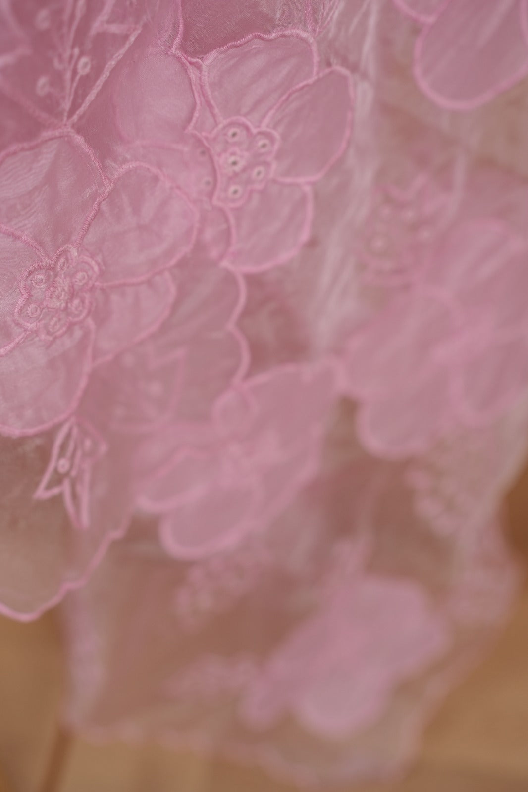 Organza Dupatta TDA0127