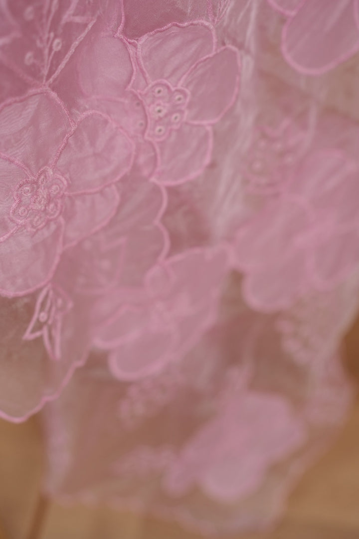 Organza Dupatta TDA0127