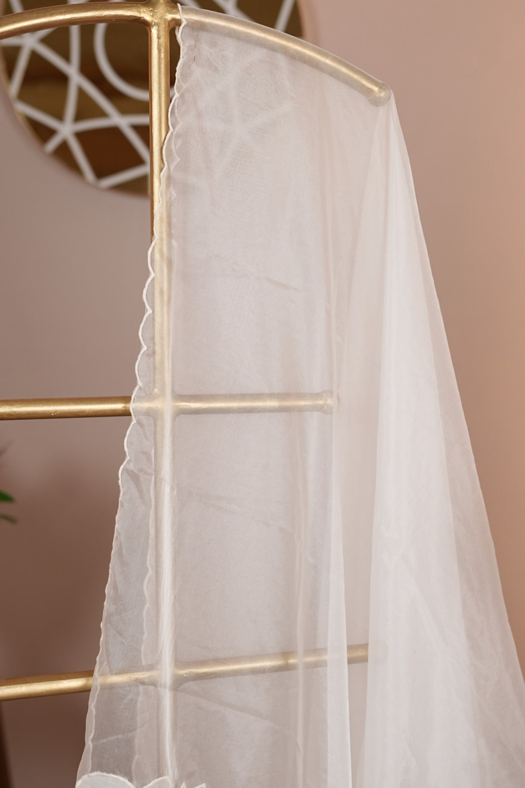 Organza Dupatta TDA0125