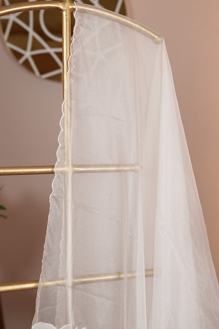 Organza Dupatta TDA0125