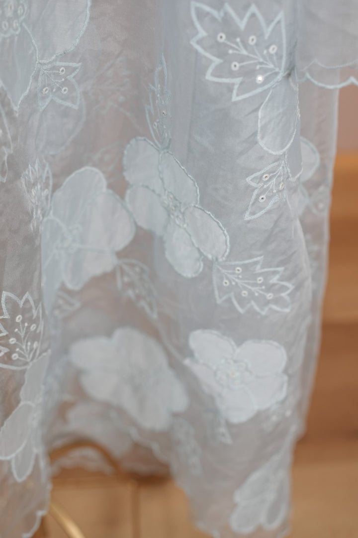 Organza Dupatta TDA0126
