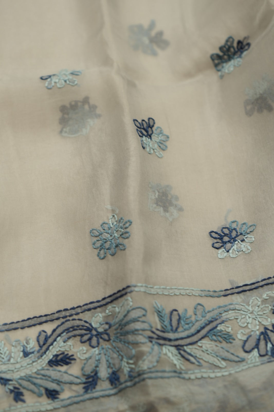 Organza Salwar TSS4793