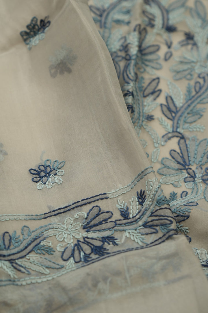 Organza Salwar TSS4793