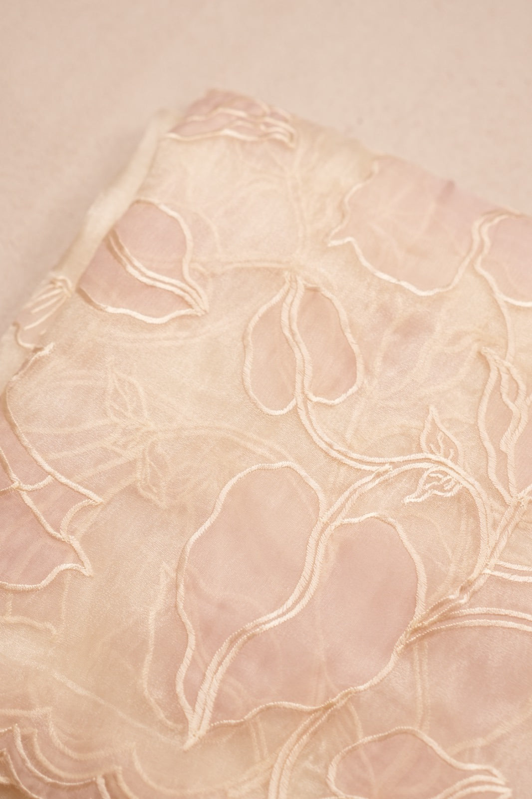 Organza  Saree TSA0208