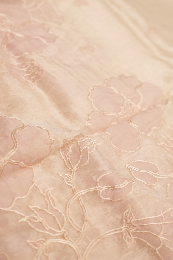 Organza  Saree TSA0208