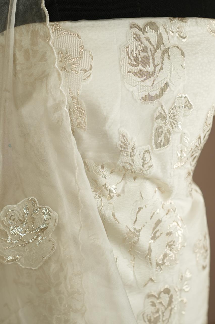 Turkish Organza Salwar TSS0267