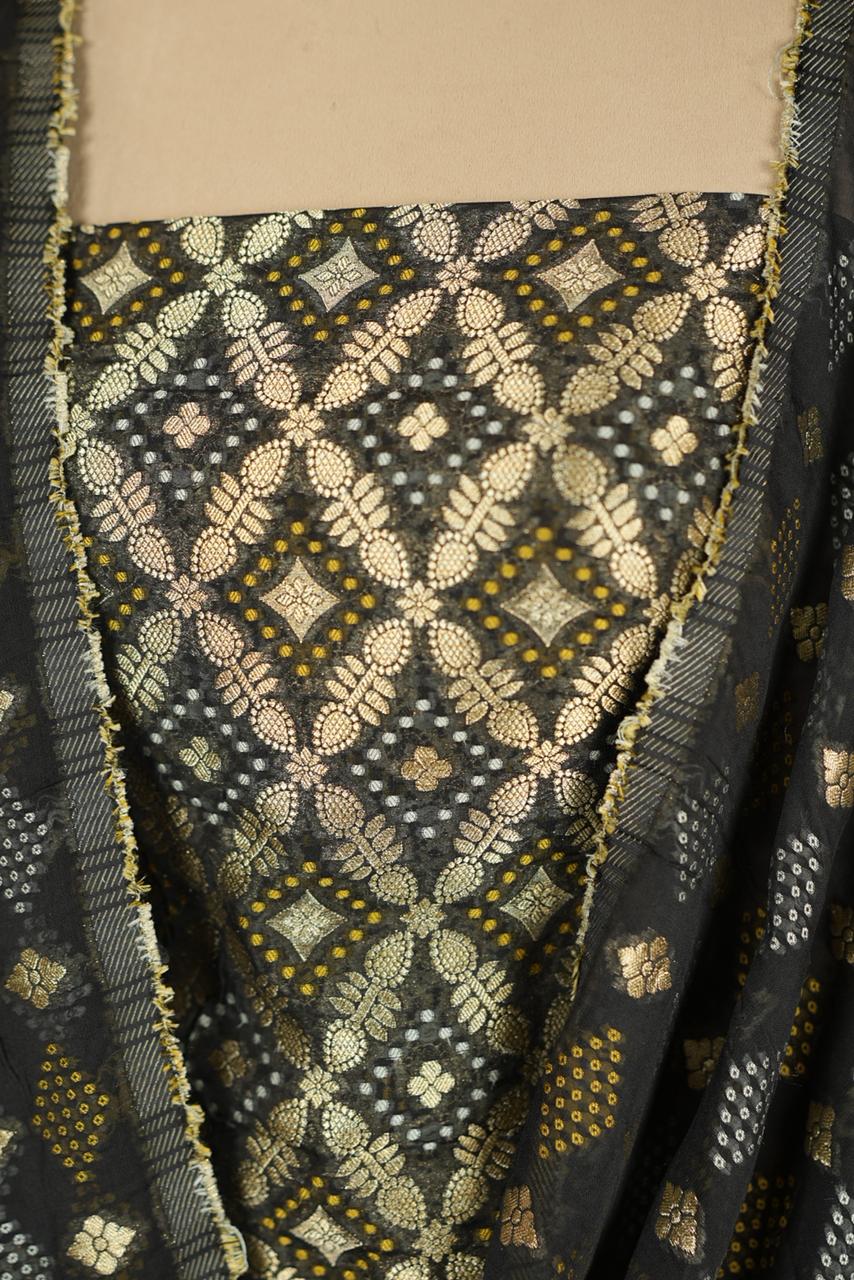 Banarasi Salwar TSS4834