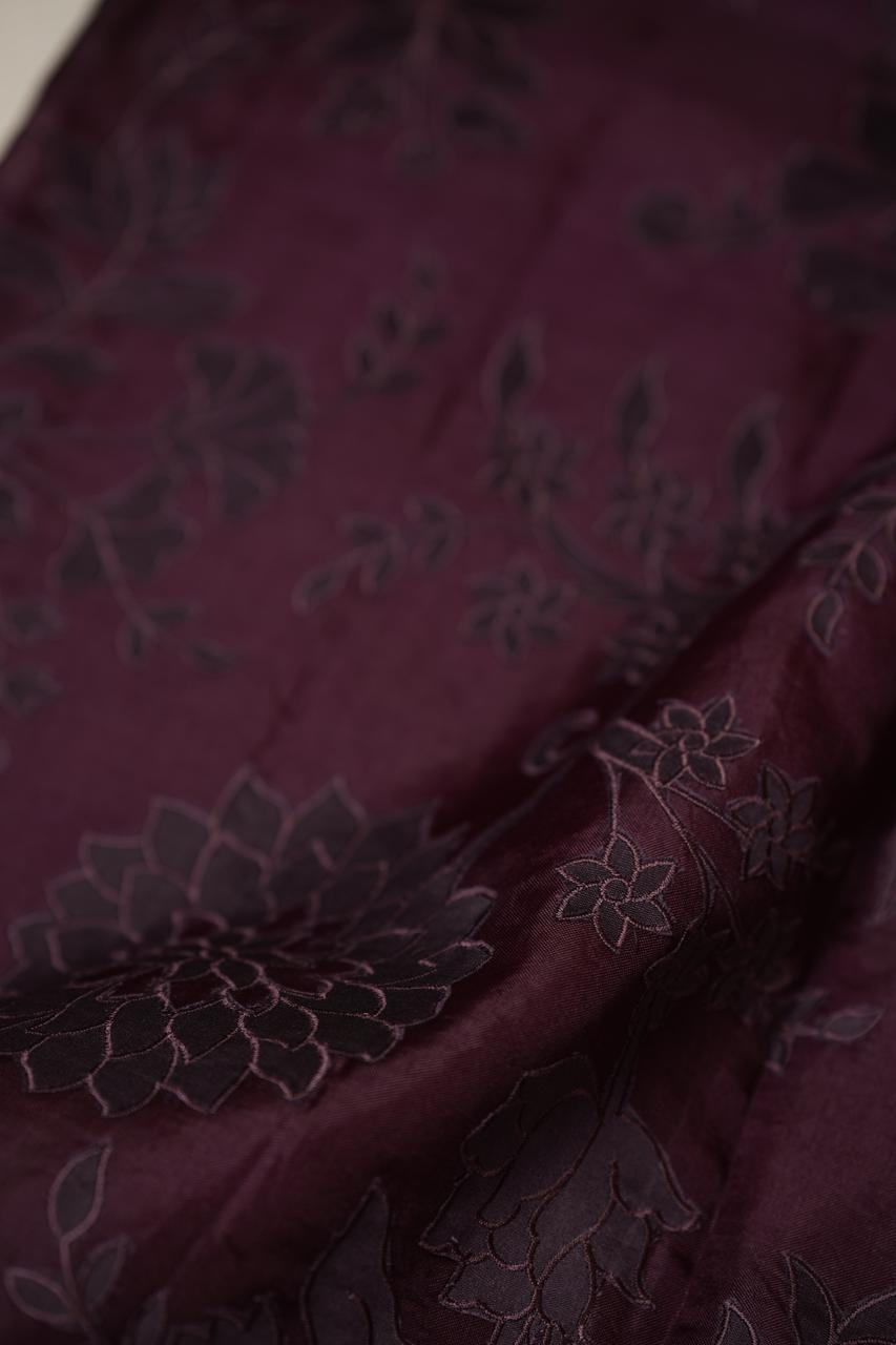 Organza Saree TSA4848
