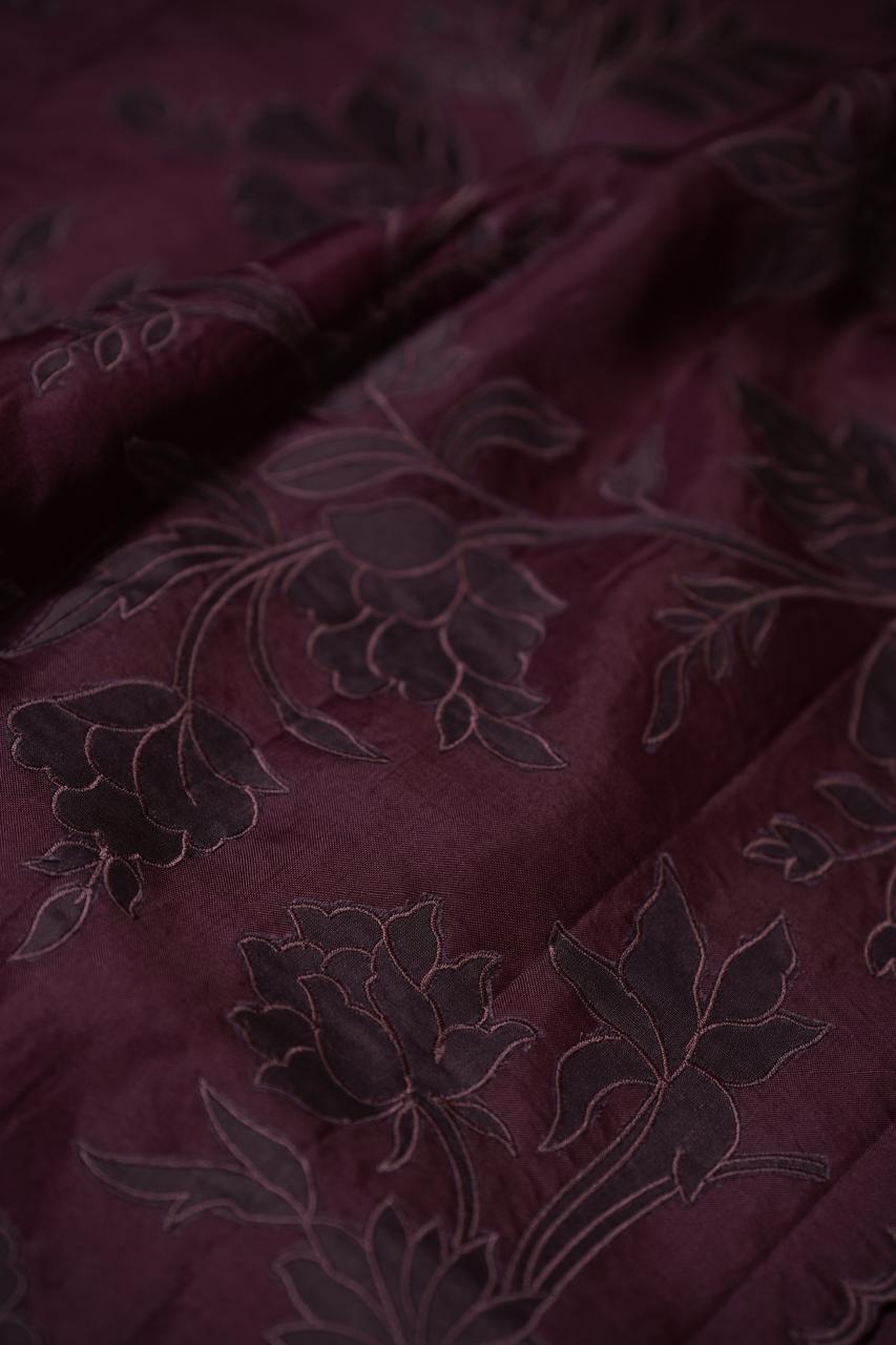Organza Saree TSA4848