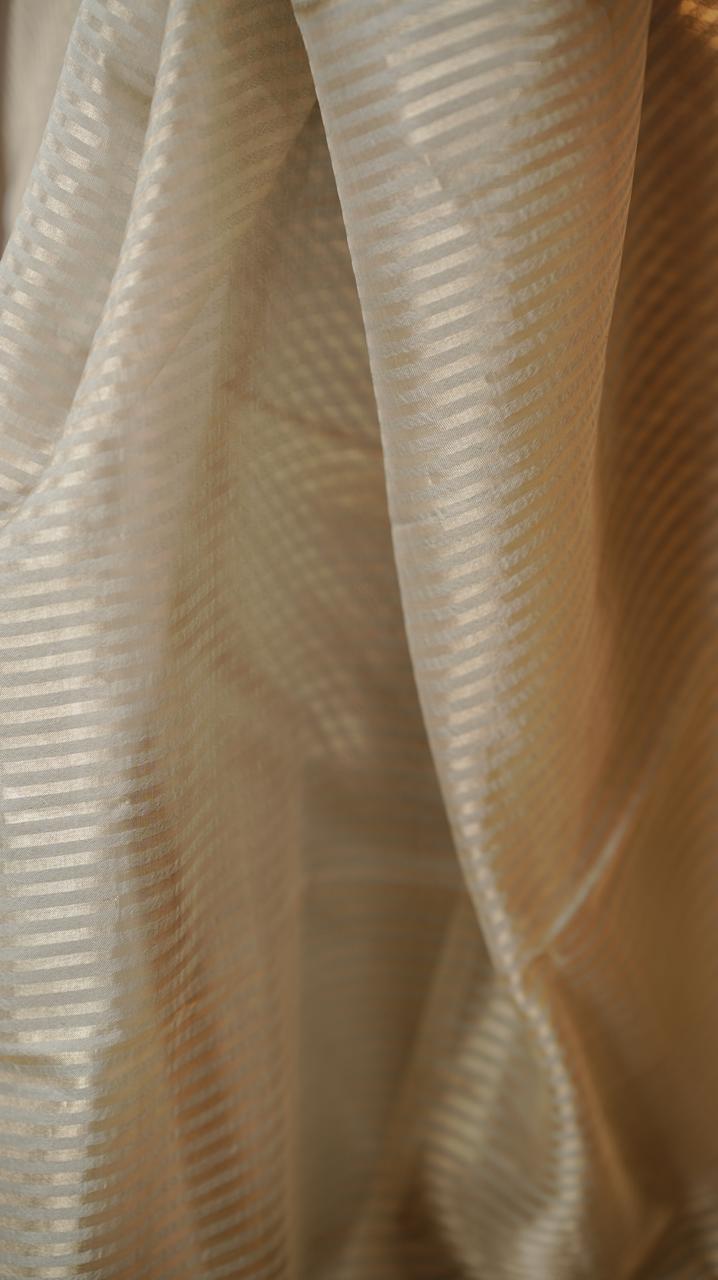 Organza Saree TSA4925
