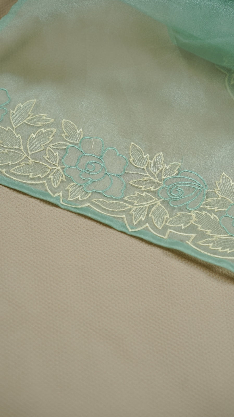 Organza Saree TSA4930