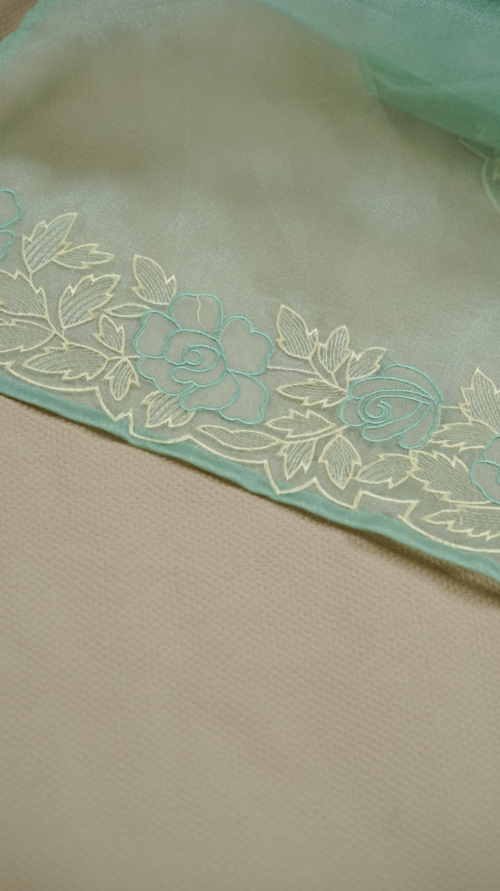 Organza Saree TSA4930