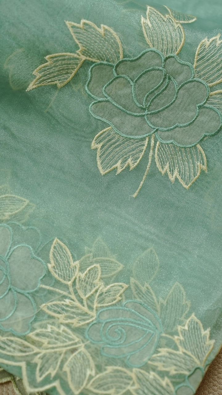 Organza Saree TSA4930